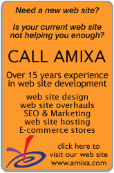 Amixa Pittsburgh web site design